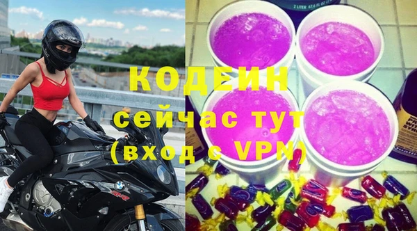 хмурый Алексин