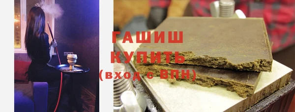 хмурый Алексин