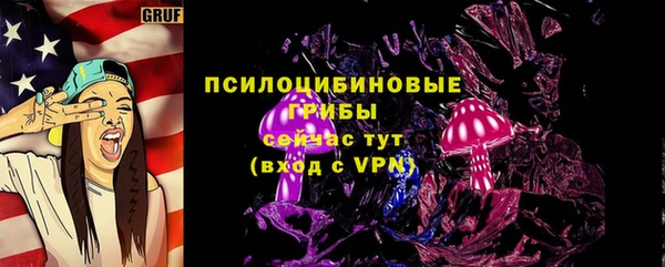 PSILOCYBIN Арсеньев