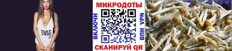 Псилоцибиновые грибы Cubensis  Междуреченск 
