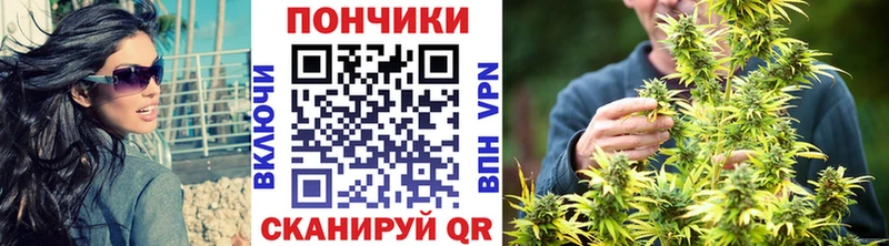 купить наркоту  Междуреченск  MEGA онион  Шишки марихуана индика 